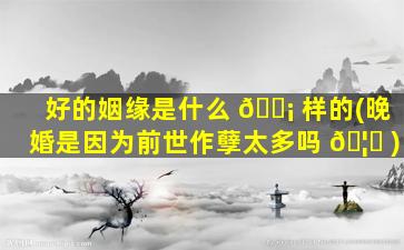 好的姻缘是什么 🐡 样的(晚婚是因为前世作孽太多吗 🦄 )